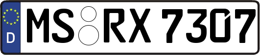MS-RX7307