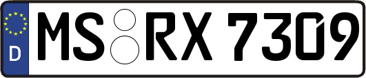 MS-RX7309