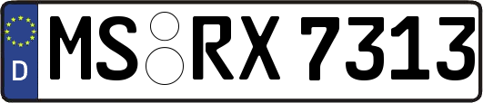 MS-RX7313