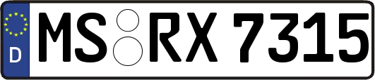 MS-RX7315