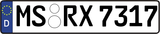MS-RX7317