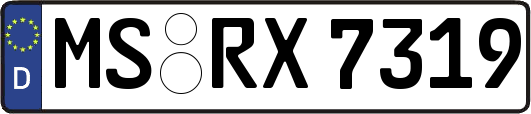 MS-RX7319