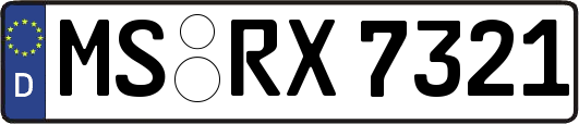 MS-RX7321