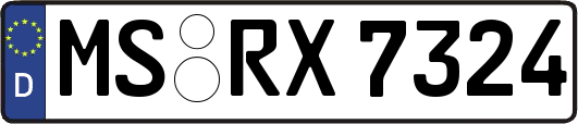 MS-RX7324