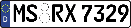 MS-RX7329