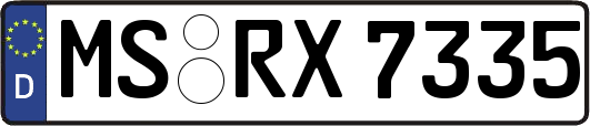 MS-RX7335