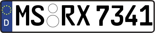 MS-RX7341
