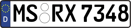 MS-RX7348