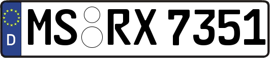 MS-RX7351