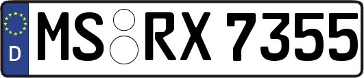MS-RX7355