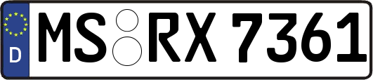 MS-RX7361