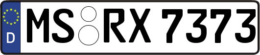 MS-RX7373