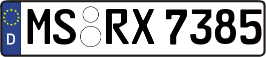 MS-RX7385