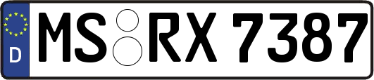 MS-RX7387