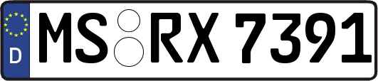 MS-RX7391