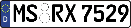 MS-RX7529