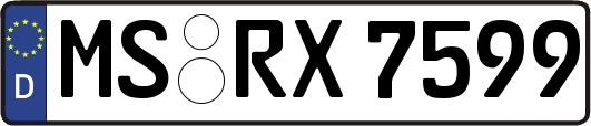 MS-RX7599