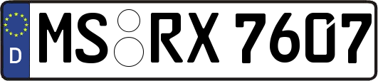 MS-RX7607