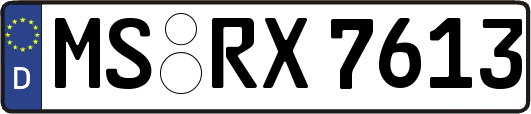 MS-RX7613