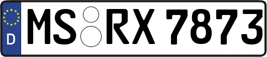 MS-RX7873
