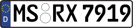 MS-RX7919