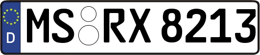 MS-RX8213