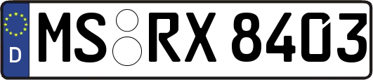 MS-RX8403