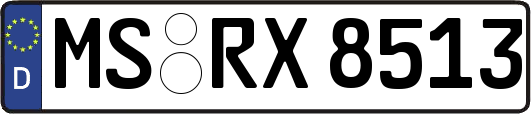 MS-RX8513