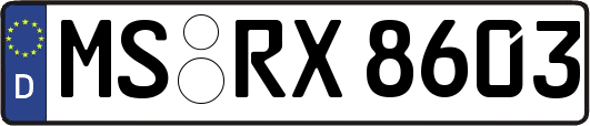 MS-RX8603
