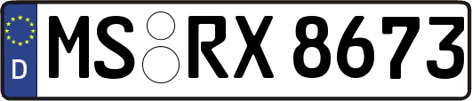MS-RX8673