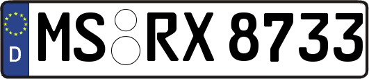 MS-RX8733