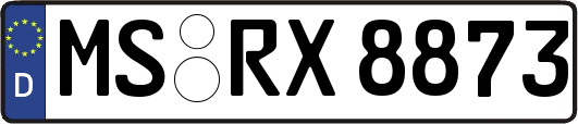 MS-RX8873