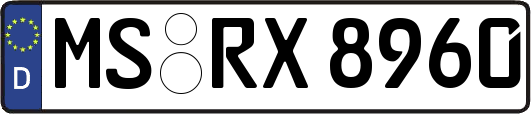 MS-RX8960