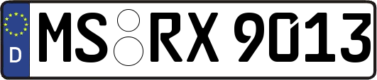 MS-RX9013
