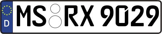 MS-RX9029