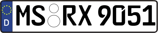 MS-RX9051