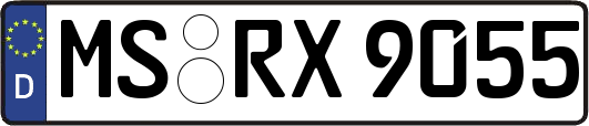 MS-RX9055