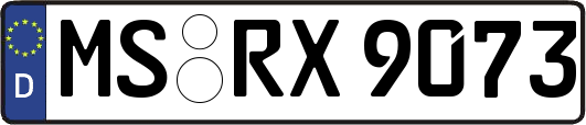 MS-RX9073