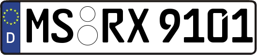 MS-RX9101