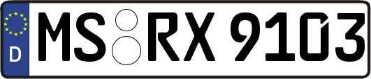 MS-RX9103