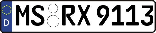 MS-RX9113