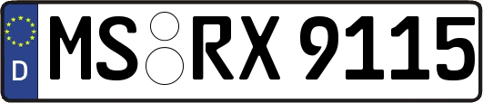 MS-RX9115