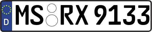 MS-RX9133