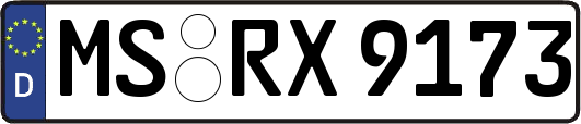 MS-RX9173