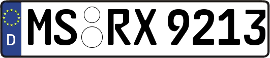 MS-RX9213