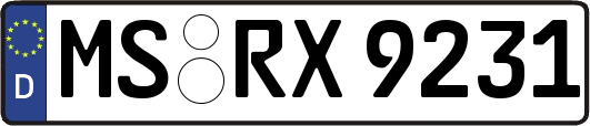MS-RX9231
