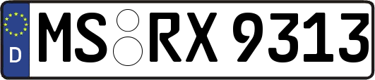 MS-RX9313