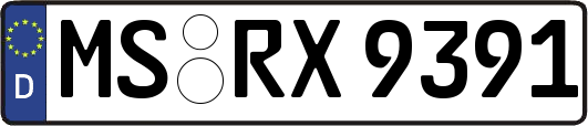 MS-RX9391