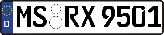 MS-RX9501