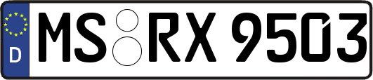 MS-RX9503